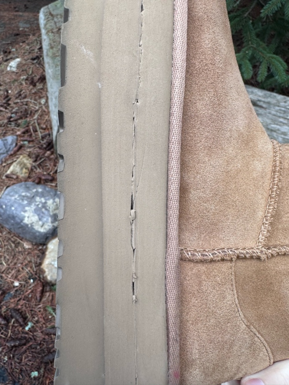 UGG Chestnut Suede Platform Mini Booties - Picture 8 of 15